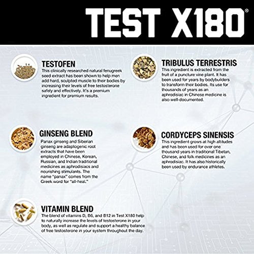 test x180 ignite